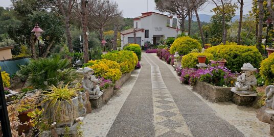 Magnifica casa en (Mas Altaba) Maçanet de la Selva
