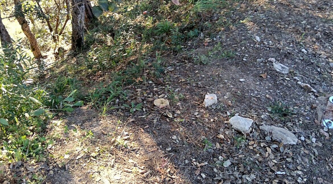 WhatsApp Image 2026-10-15 at 15.31.18 (3) - 1K JPEG